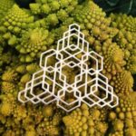 hex fractal pendant
