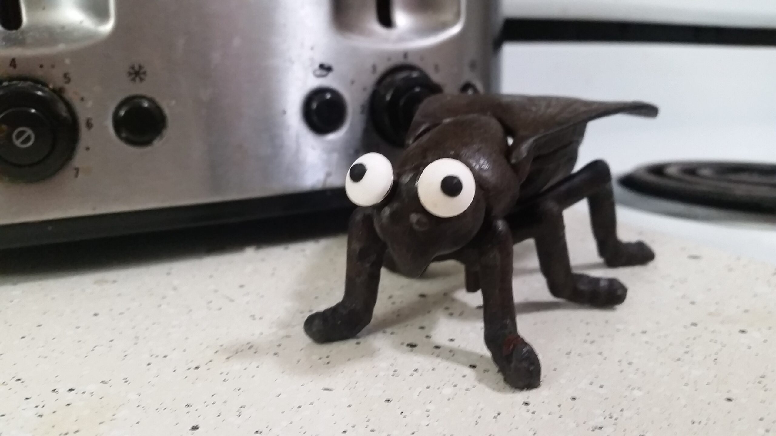 THE FLY