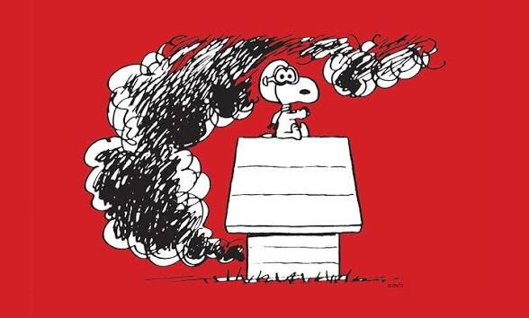 Shot Down by a Stomach Bug