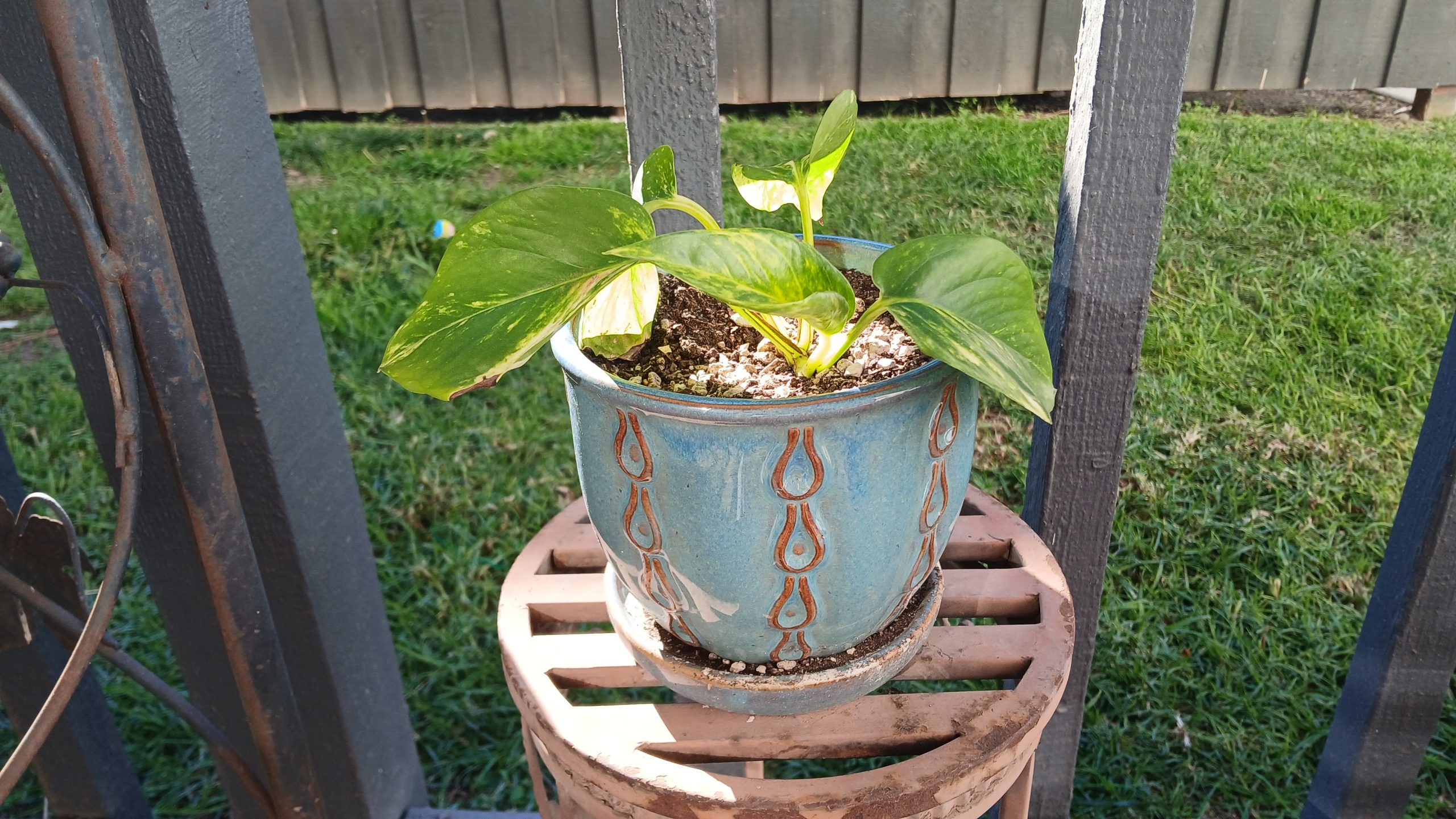 Checking Up on Leif Garrett